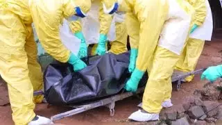 Ebola: Why the Oubreak Is Ending