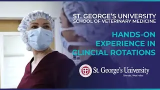 SGU Student Brittany Hovan Gives Insights on Her Vet Clinical Year
