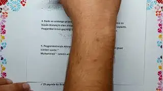 7. Sınıf Peygamberimizin Hayatı (SİYER) 1. Dönem 1. Yazılı Açık Uçlu