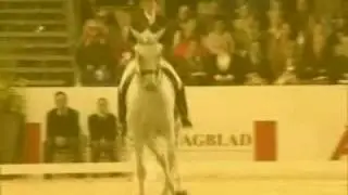 Horses// MIX// MEGA effects//