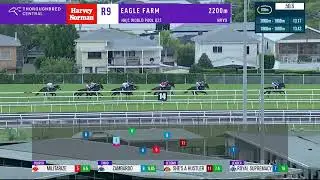 The Q22 2026 - ROYAL SUPREMACY (3YO+ WFA G2) Group 2 Eagle Farm 13 June