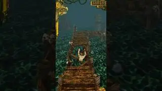temple run professional #gaming