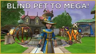 Wizard101 BLIND PET TO MEGA: Catastrophic Failure...