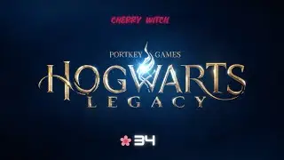 Let`s Play Hogwarts Legacy #34 ~ Endlich haben wir alle Koboldsteine