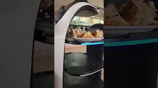 El sustituto del humano.