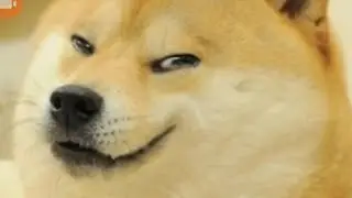 Eu jogando um jogo do Doge marombado vey