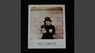 Pet Giraffe