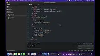 Creating a Screenshot on a Mac