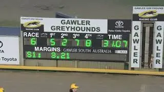 Gawler-28012026-Race-6