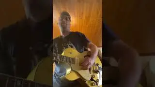 Epiphone es-295 2007
