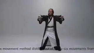6 Form Qingcheng Taiji by Grandmaster  Liu Suibin