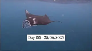 Day 155: Nusa Lembongan - Swimming with manta rays and some sea sickness! 🤢