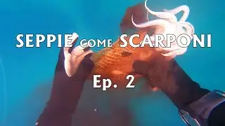 Pesca sub: SEPPIE COME SCARPONI - Ep. 2