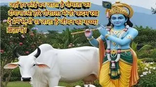 &ldquo;जय गौ माता &ndash; Shri Hari Gaushala Jaitsisar&rdquo; ##gaumata 
