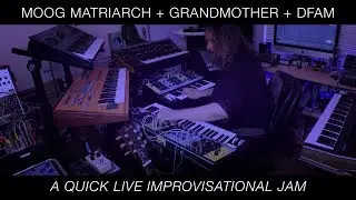 MOOG Matriarch + Grandmother + DFAM // FIRST TEST