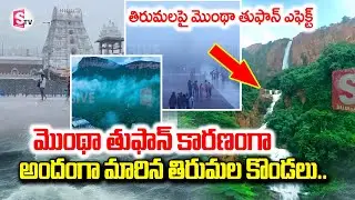 Montha Cyclone | AP Rain Updates | Tirumala Hills Turned Beautiful.. | Malwadi Gundam Waterfalls