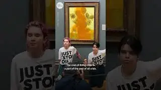 Just Stop Oil protesters throw soup at Vincent van Gogh's 'Sunflowers' | USA TODAY #Shorts
