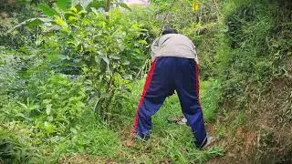 Young Farmer Skills: Manual Weed Control for a Productive Garden _FarmersLife _Shorts
