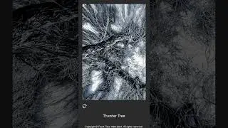 008889 - Thunder Tree