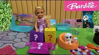 Barbie and Chelsea Popular 2020 Stories: Barbie Best Sleepover & Cute Puppies Video in Barbie House