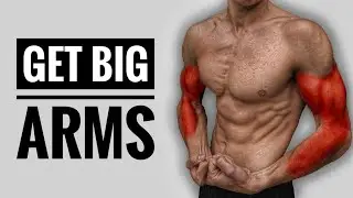 Get Big ARMS at Home Workout (No Equipment)