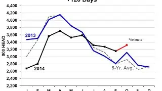 Cattle Feeders Lose Currentness in September