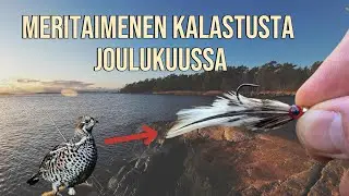 Meritaimenen Kalastusta Joulukuussa