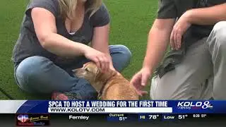 Cameron and Carolyn get married at the SPCA of Northern Nevada Wedding