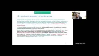 Contexte, morphosyntaxe raisonn&eacute;e, traduction raisonn&eacute;e contextuelle et traduction raisonn&eacute;e id&eacute;elle