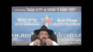 7 Lois de Noé c'est tout ?! (Rav Dynovisz)