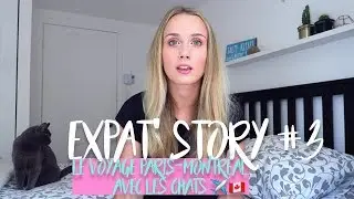 EXPAT'STORY #3 : LE VOYAGE AVEC LES CHATS ✈ 🇨🇦
