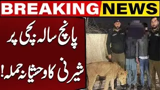 Lion Attacks: 5-Year-Old Girl! | Shocking Incident | Breaking News | Capital TV