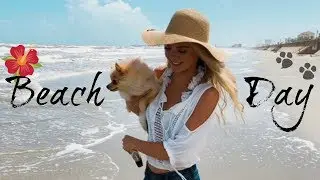 Pomeranian Puppy's First Beach Day!