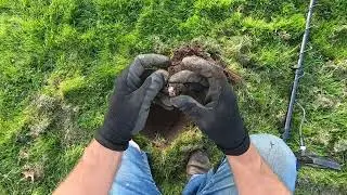 ДОБЫВАЙТЕ ЗОЛОТОЕ КОЛЬЦО В ЖИВУЮ СИТУАЦИЮ!! Компания Minelab Manticore находит золото в небольшом...