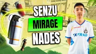 Senzu Nades &mdash; Mirage vs Fnatic &mdash; CS2 POV THUNDERPICK WORLD CHAMPIONSHIP 2024