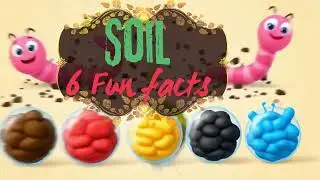 Soil - 6 Fun facts