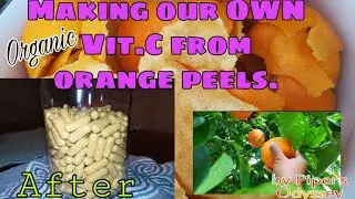 How to make VITAMIN C from ORANGE peels..