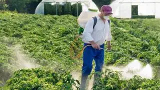 Pesticides et cancers : les résultats d'AGRICAN