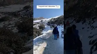 Tungnath trek in December | Snowfall in chopta- Chandrashila🗻☃️| #chopta #travel #mountains #trek