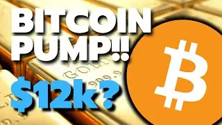 Рынок в шоке! Bicoin (BTC) против золота, NFT против DeFi, Fuse Network, протокол REN, VIDT Datalink