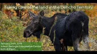 Nahe Nahodhe: Taking care of the land in the Dehcho Territory