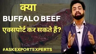 क्या 🐃 Buffalo BEEF एक्सपोर्ट कर सकते हैं? | Import Export Business