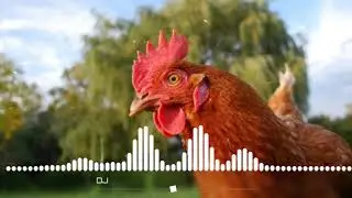 G&agrave; Trống Remix EDM 🎶🐓 | Dậy Ngay Với Giai Điệu Cực Sung!