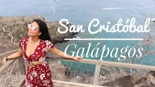 GAL&Aacute;PAGOS NADANDO CON LOBOS DE MAR - CERRO TIJERETAS