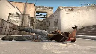 FREESTYLER