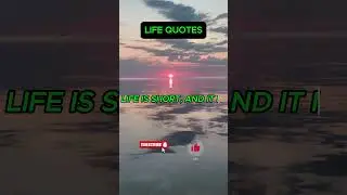 BEST LIFE QUOTE #bestlifequotes #quotes #quotesforeveryone