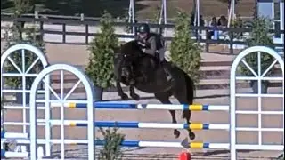 Devon Schwartz and Beluga Fonfreide in the 1.10 Jr Jumpers at HITS Ocala 01/15/26
