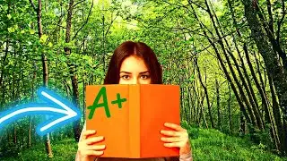 Deep Focus Music To Improve Concentration | 1 Hour of Ambient Study Music to Concentrate
