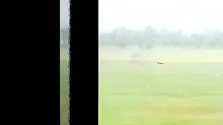 Glimpse of Jinnah Polo Club Lahore | Golfclub Lahore #lahore