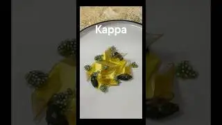 Kappa 🧪 Get the Recipes on @gronda
